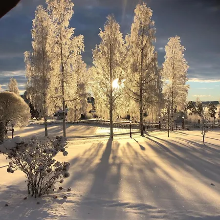 Mysigt Boende I Raettvik Med Utsikt Oever Siljan Exterior photo